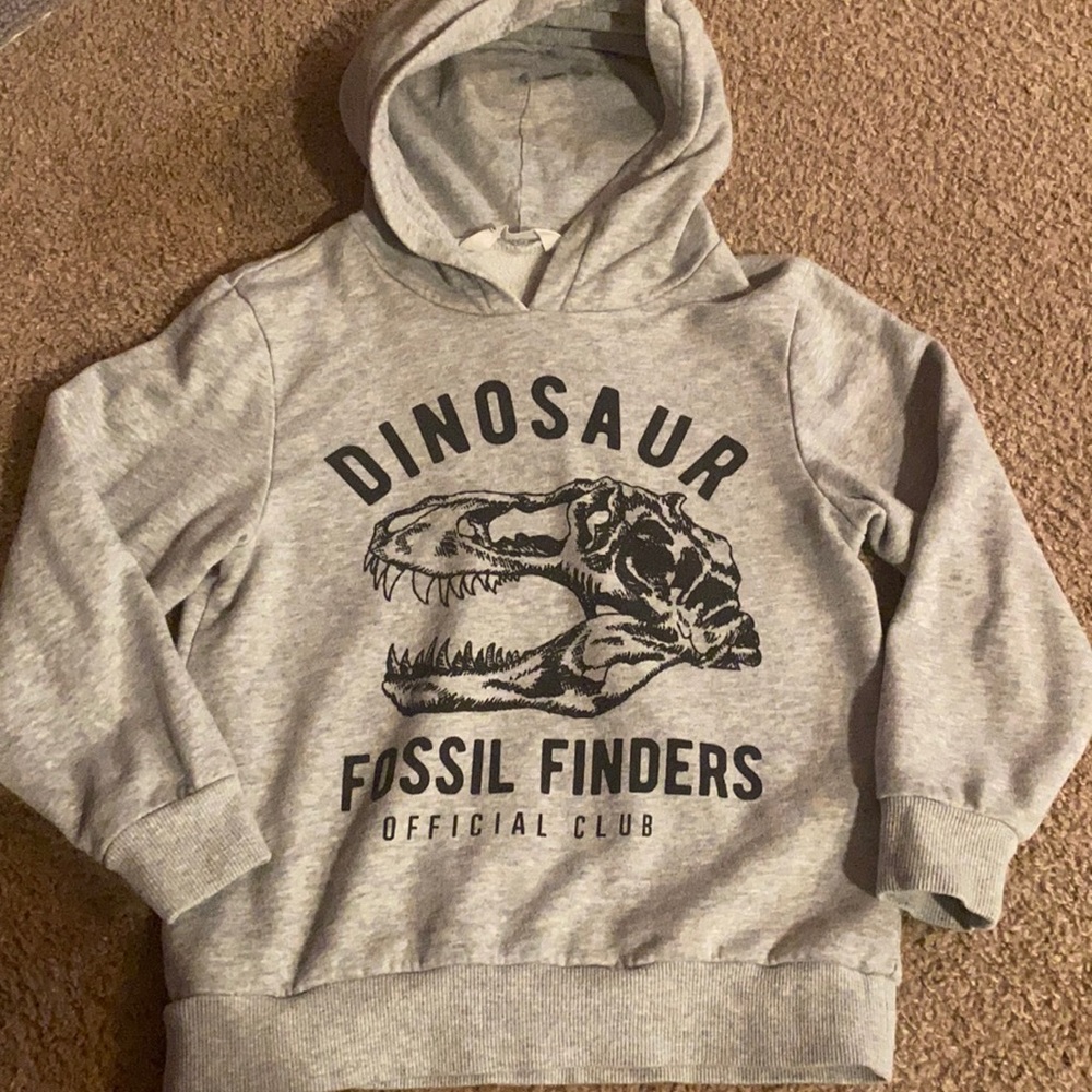 EUC- size 6-8 year old dino hoodie